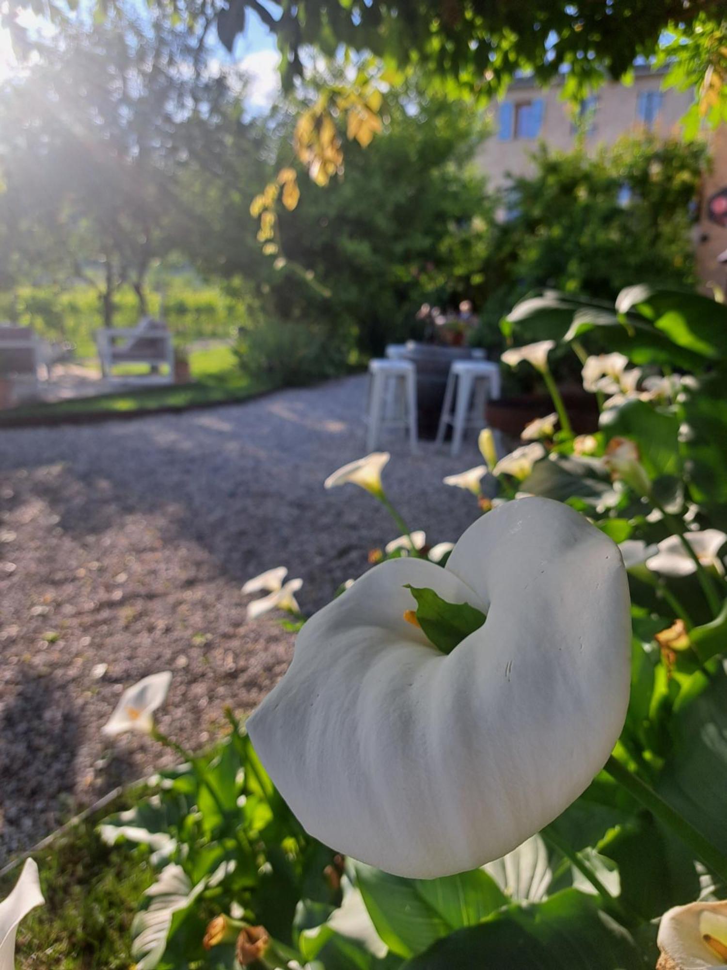 Casadesergio Refrontolo Dış mekan fotoğraf