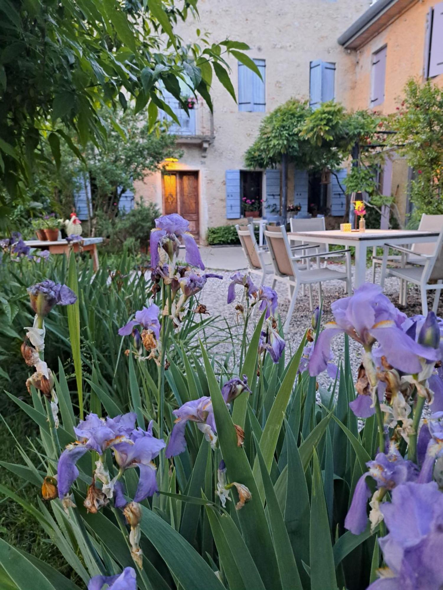Casadesergio Refrontolo Dış mekan fotoğraf
