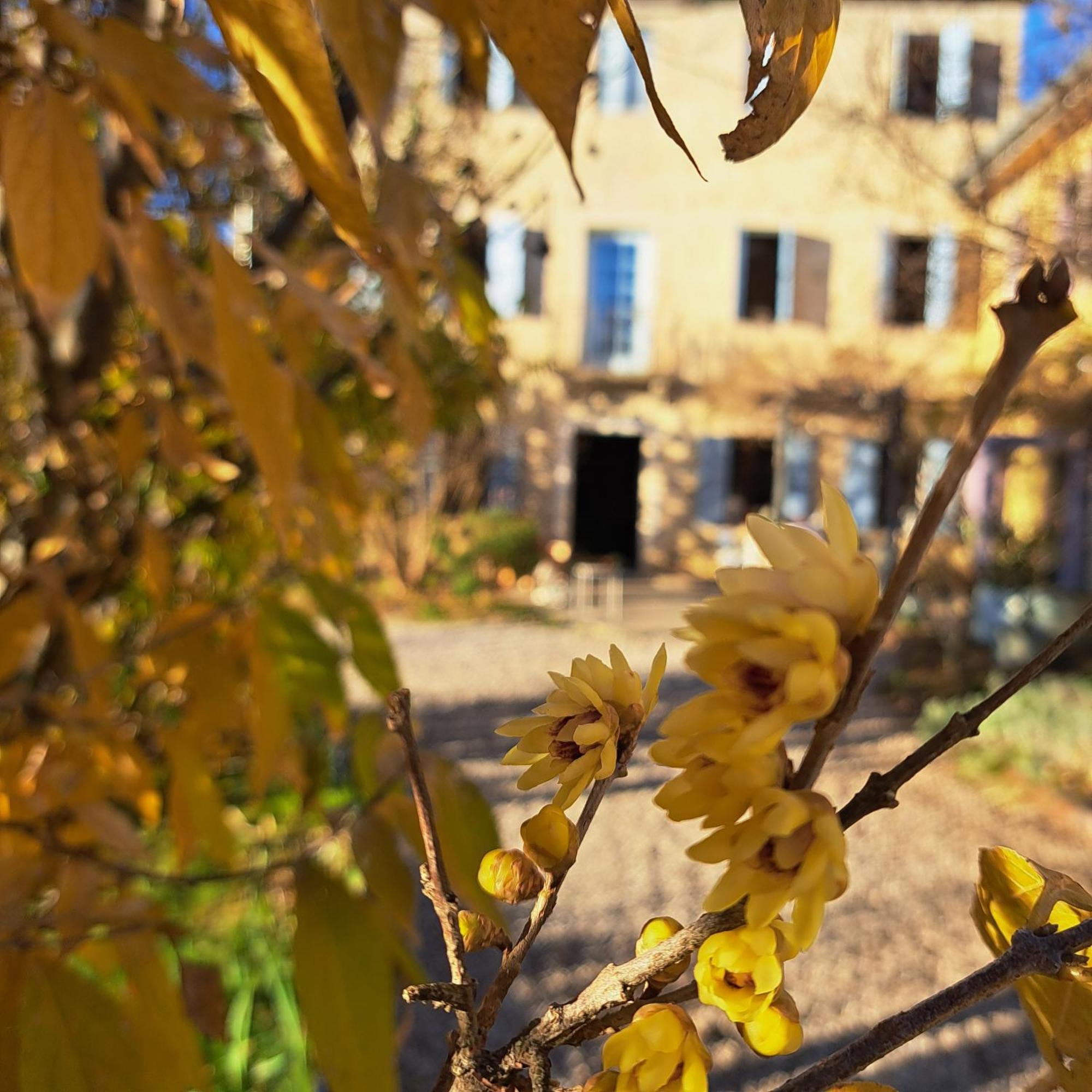 Casadesergio Refrontolo Dış mekan fotoğraf
