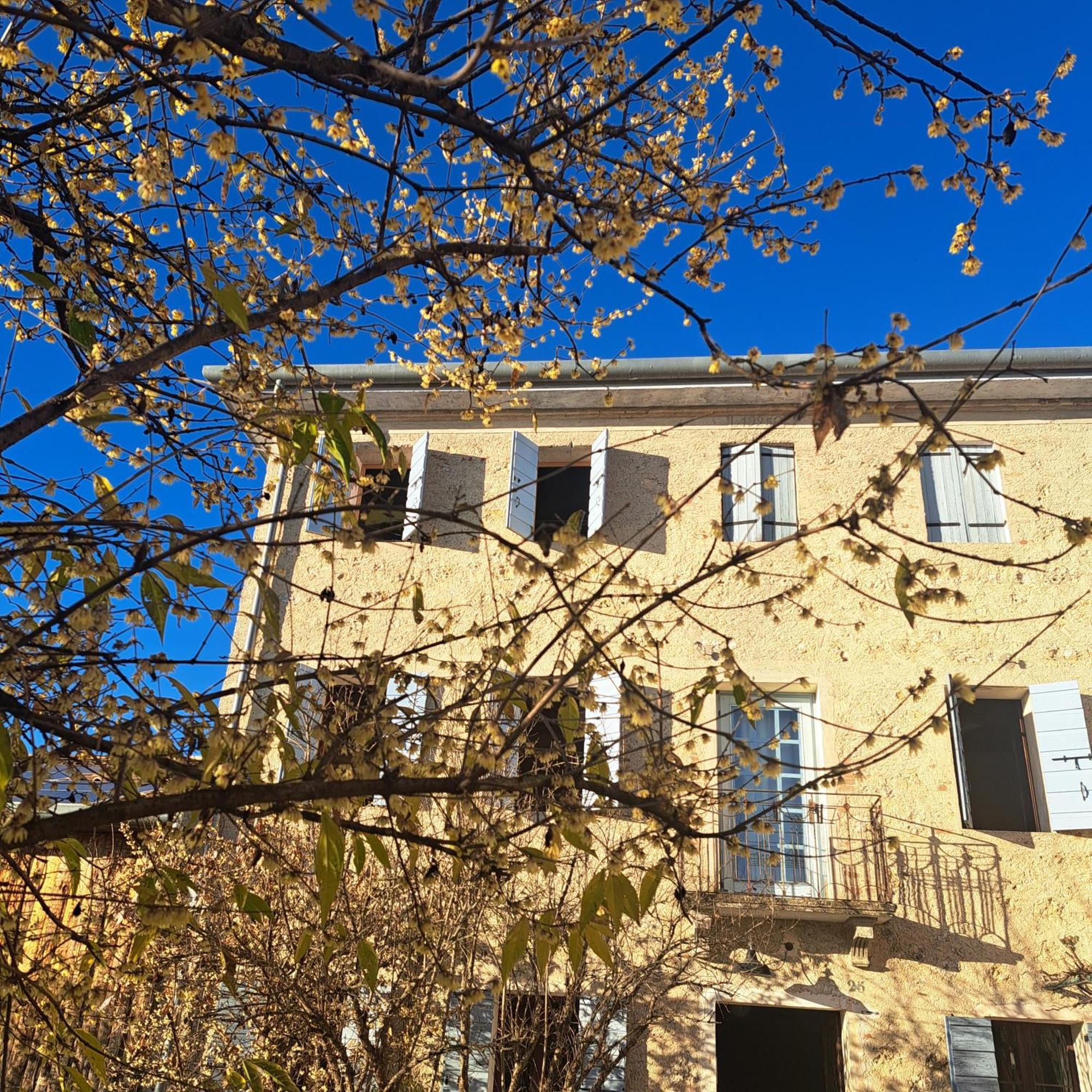 Casadesergio Refrontolo Dış mekan fotoğraf