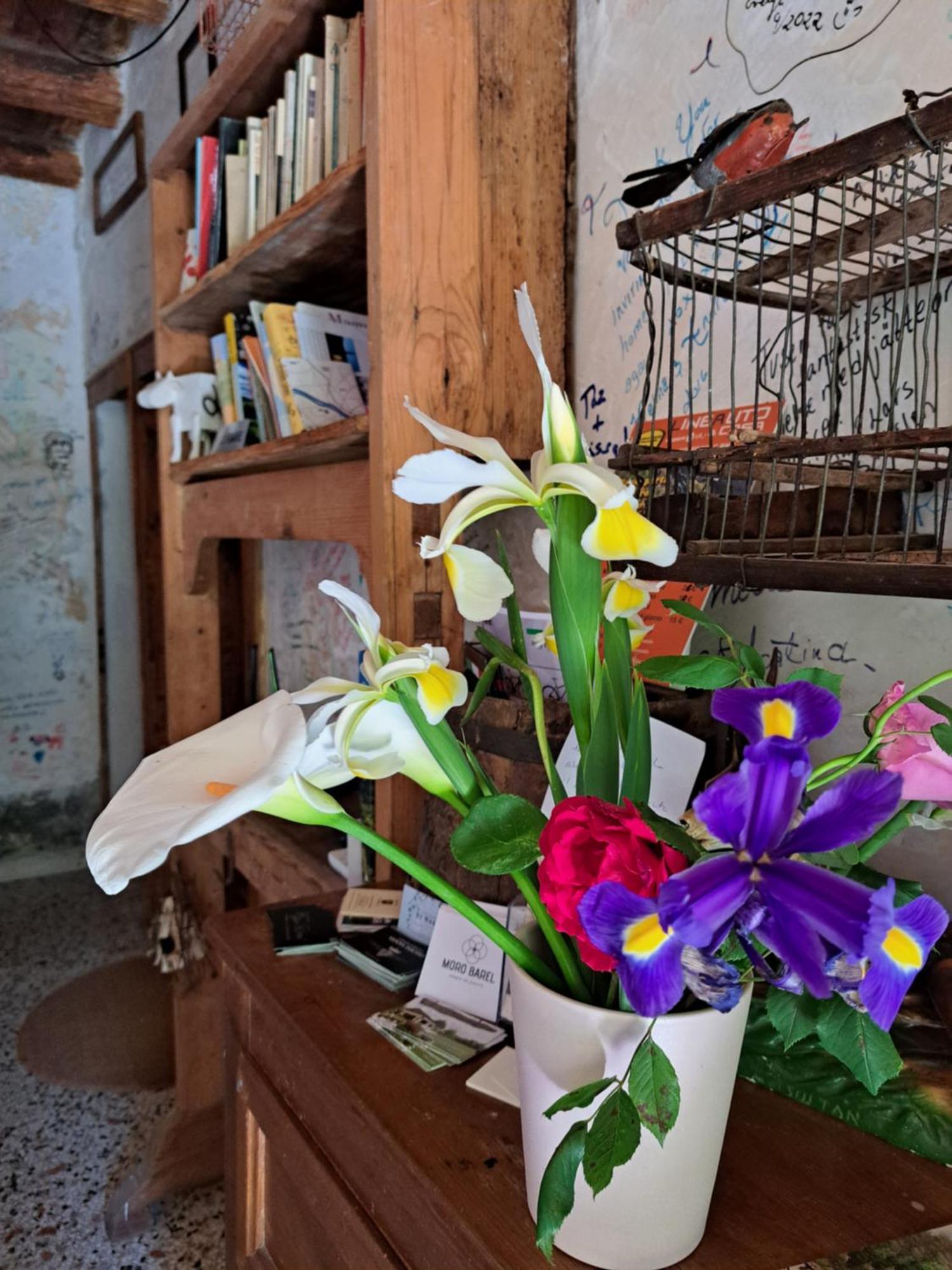 Casadesergio Refrontolo Dış mekan fotoğraf