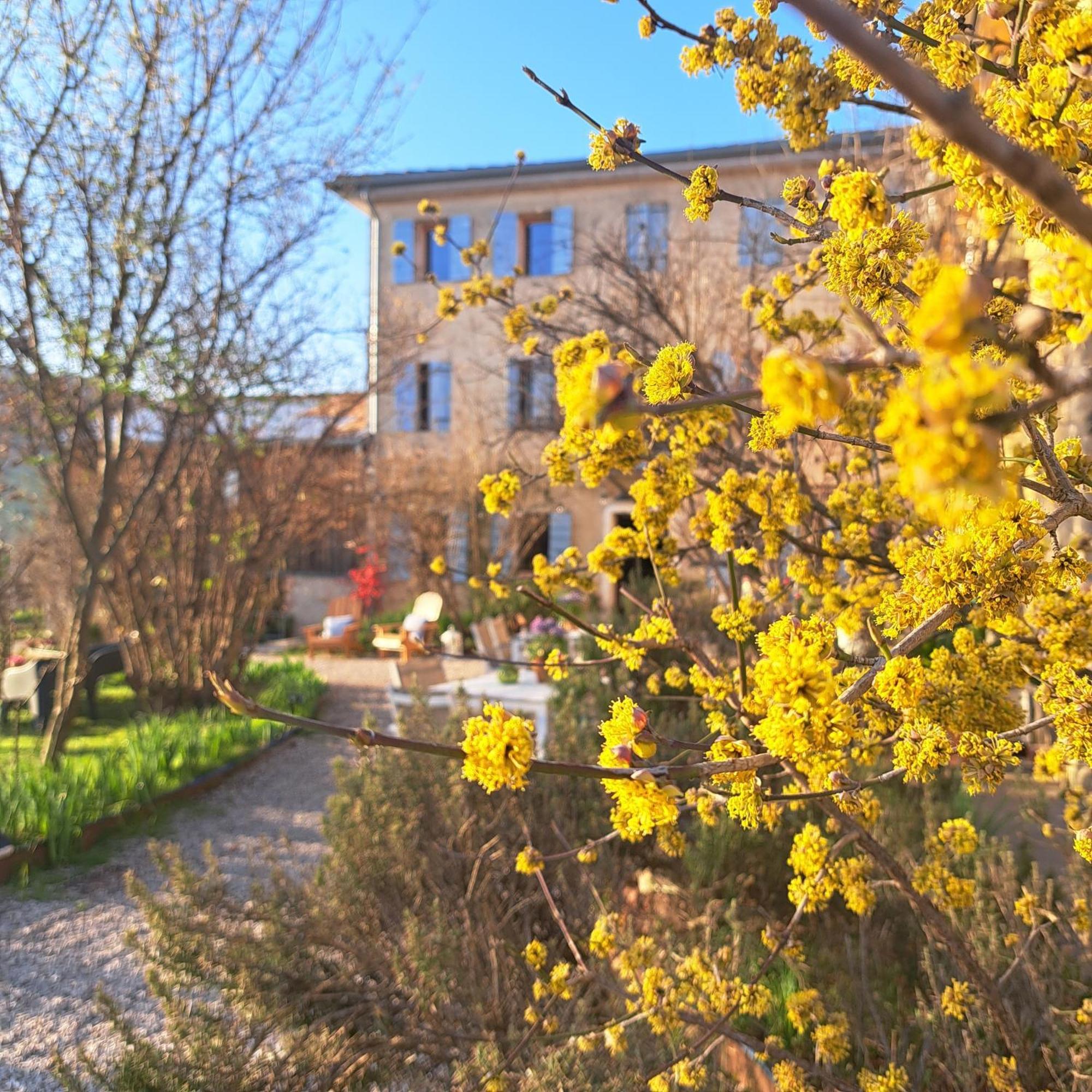 Casadesergio Refrontolo Dış mekan fotoğraf