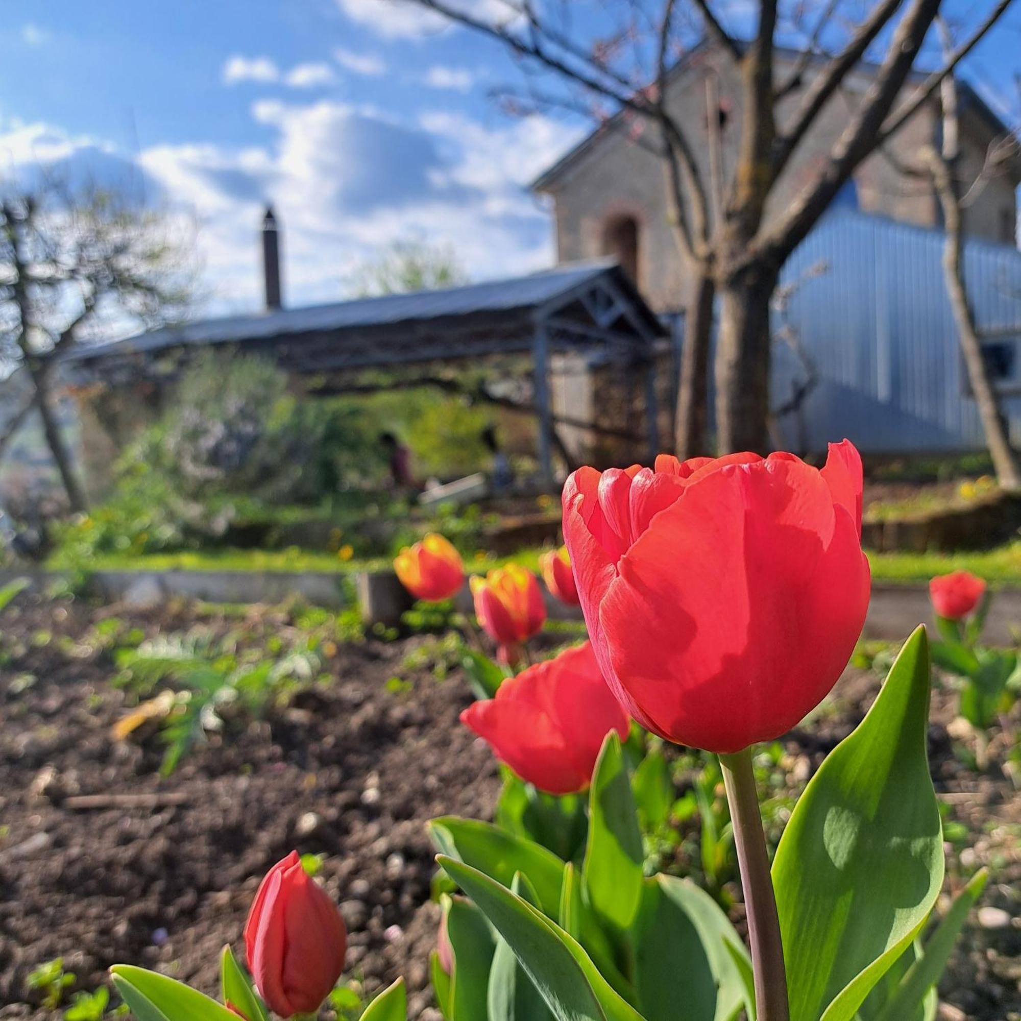 Casadesergio Refrontolo Dış mekan fotoğraf