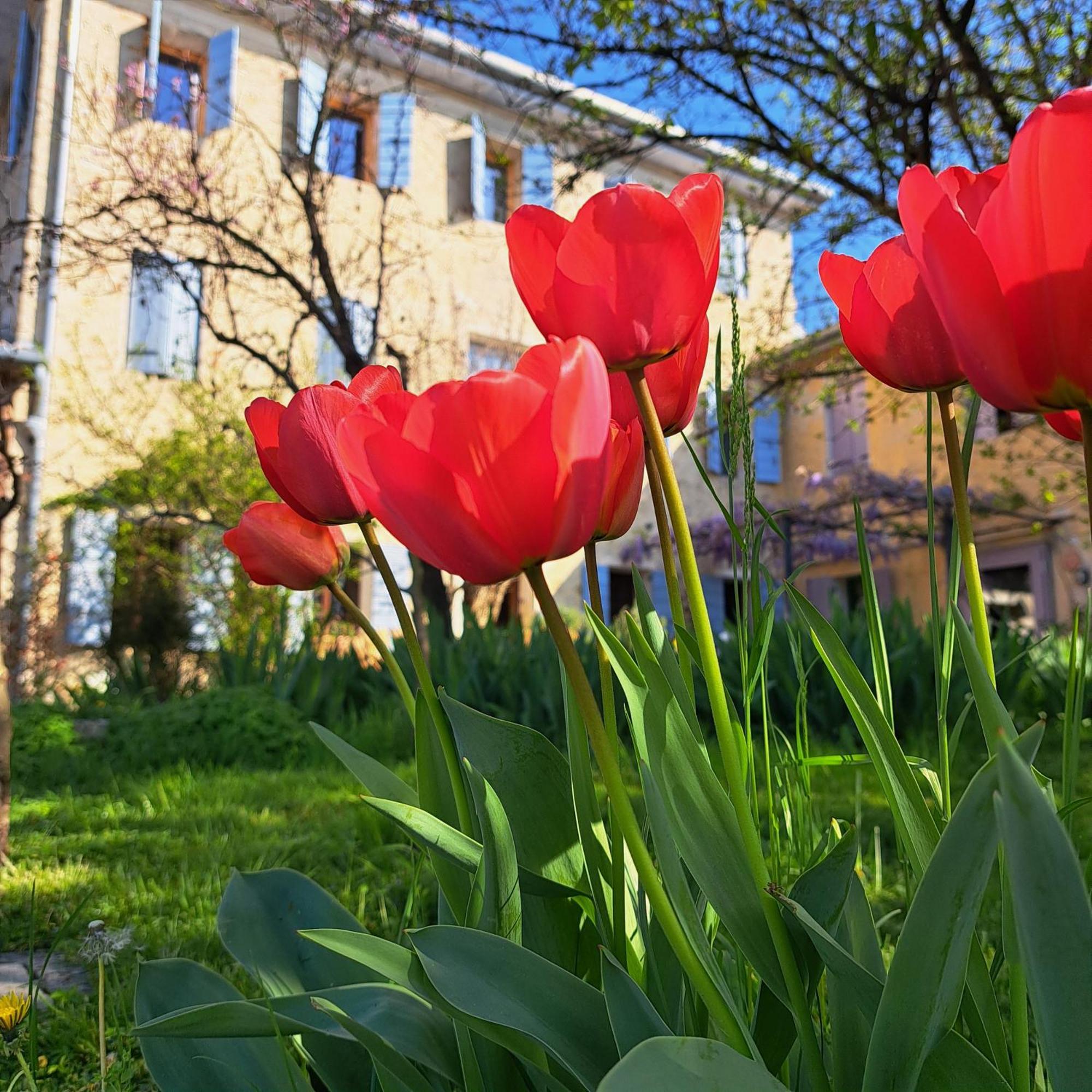 Casadesergio Refrontolo Dış mekan fotoğraf